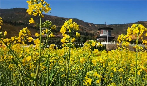 西安周邊的公墓圖片